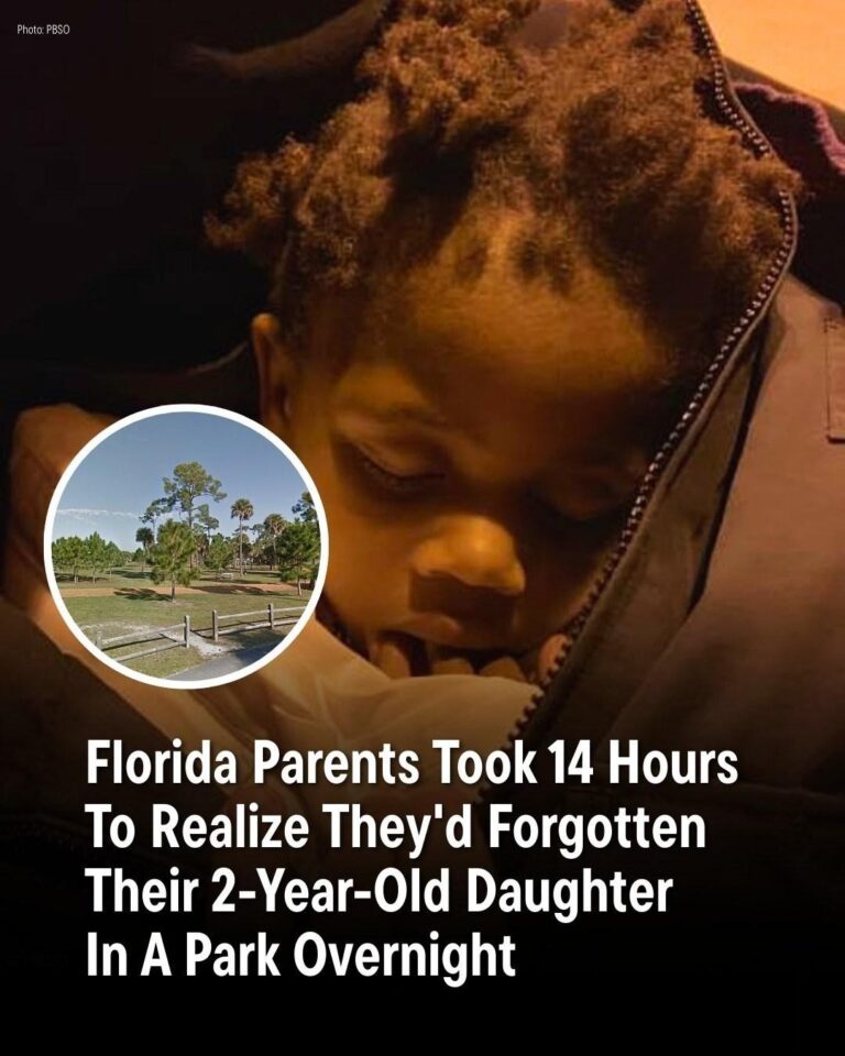Florida parents forget their 2-year-old daughter in a park overnight and only realize it 14 hours later
